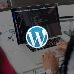 Wordpress for Beginners
